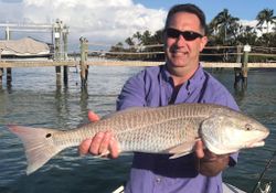 Redfish caught in Cape Coral