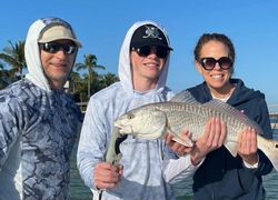 Redfish caught in Cape Coral