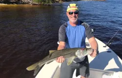 A snook fish caught in Cape Coral
