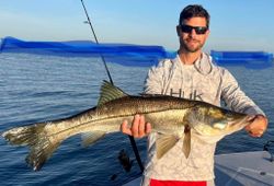 A single snook fish measuring 39 inches, caught while fishing in Cape Coral.