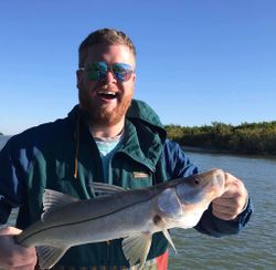 A single Snook fish caught in FL