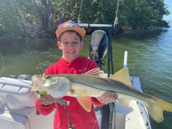 Snook fish caught in FL while fishing