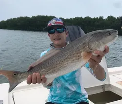 Redfish, 31-inch trophy caught in FL