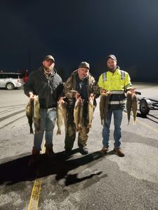 5 fish caught in Lockport, a great fishing spot