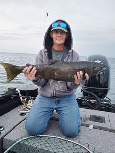 Fisherman catches a large rainbow trout in NY