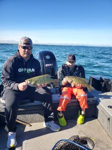 Two smallmouth bass caught in New York