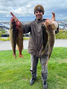 3 big fish caught in NY while fishing