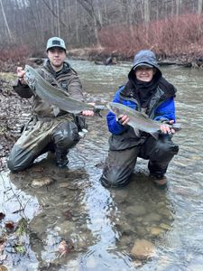 Two rainbow trout caught in NY