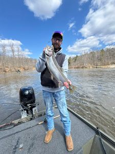 Angler holding a 23-inch fish in Brethren