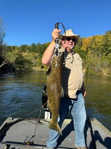 Chinook salmon caught while fishing in Brethren