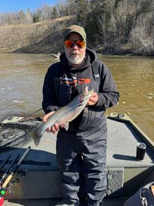 Coho Salmon caught in Brethren while fishing