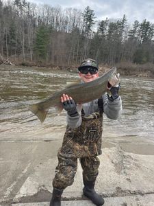 Cutthroat trout, 24-inch fishing catch in Brethren