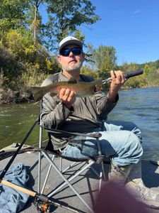 Photograph of a fisherman with a rainbow trout in Brethren