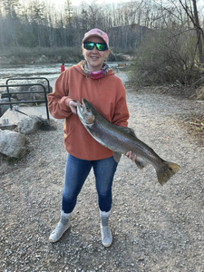 A fisherman holding a large rainbow trout in Michigan