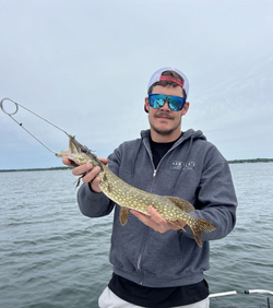 A northern pike fish caught in MI