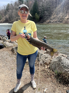 One rainbow trout caught while fishing in MI