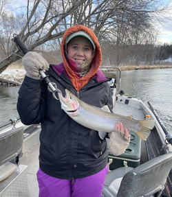 Rainbow Trout caught while fishing in MI