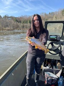 A sea trout caught while fishing in Brethren