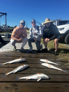4 large black drum fish caught in Wanchese