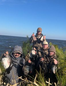 Best great fishing at Wanchese