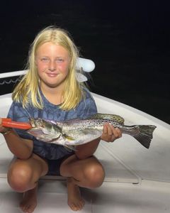 One person fishing in NC