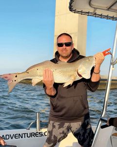 A person fishing in NC