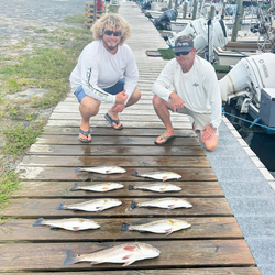 9 redfish caught while fishing in North Carolina