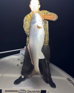 Photograph of a redfish caught in Wanchese
