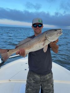 Redfish caught by two anglers in Wanchese