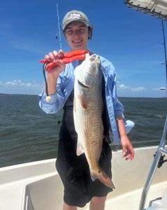 Redfish caught in Wanchese