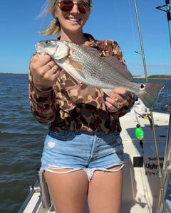 Redfish caught while fishing in Wanchese