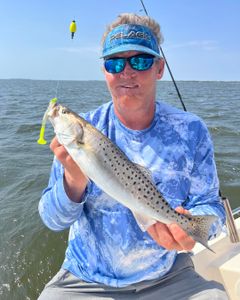 Spotted Weakfish caught in NC