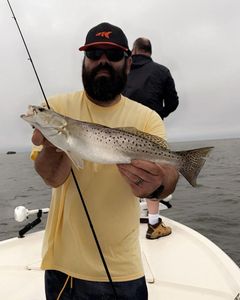 Spotted Weakfish caught by angler in Wanchese
