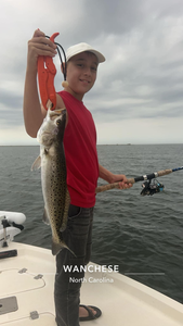 A spotted weakfish measuring 21 inches caught in Wanchese