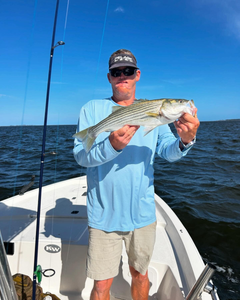 Striped bass caught in NC