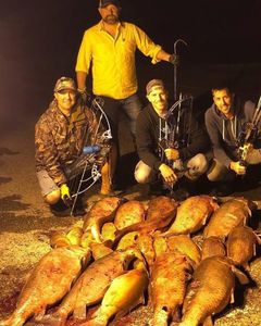 Massive buffalo haul!