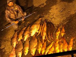 Carp Haul, Reached our limits tonight