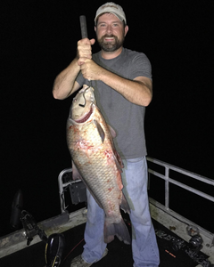 Best great fishing in TN