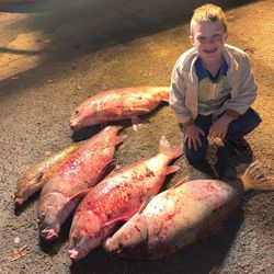 3 fishing rods with a large fish catch in Nolensville