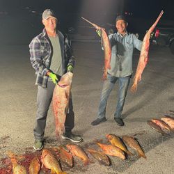 Six common carp, a fishing adventure in TN