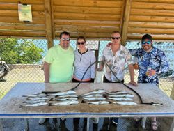 Four fishermen in Tampa enjoying a fishing trip