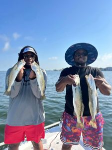 Two anglers with four spotted weakfish in FL.