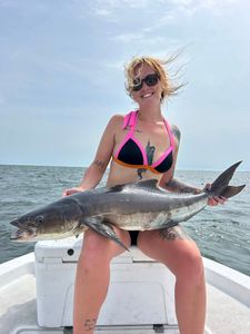 Cobia fishing in FL