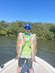 Two redfish caught while fishing in Tampa