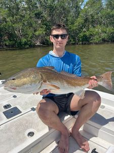 Redfish caught while fishing in Tampa