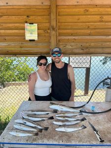 Spotted weakfish caught in Tampa, Florida