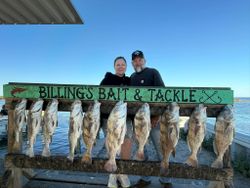 Fishing catch display of black drum hanging on cleaning station in Corpus Christi TX