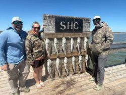 Successful black drum fishing trip in Corpus Christi TX with multiple fish displayed on wooden dock