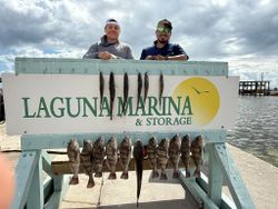 Fishing catch of black drum displayed on cleaning station at Laguna Marina in Corpus Christi TX