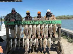 Fishing charter displaying catch of Black Drum at Billing's Bait & Tackle in Corpus Christi TX